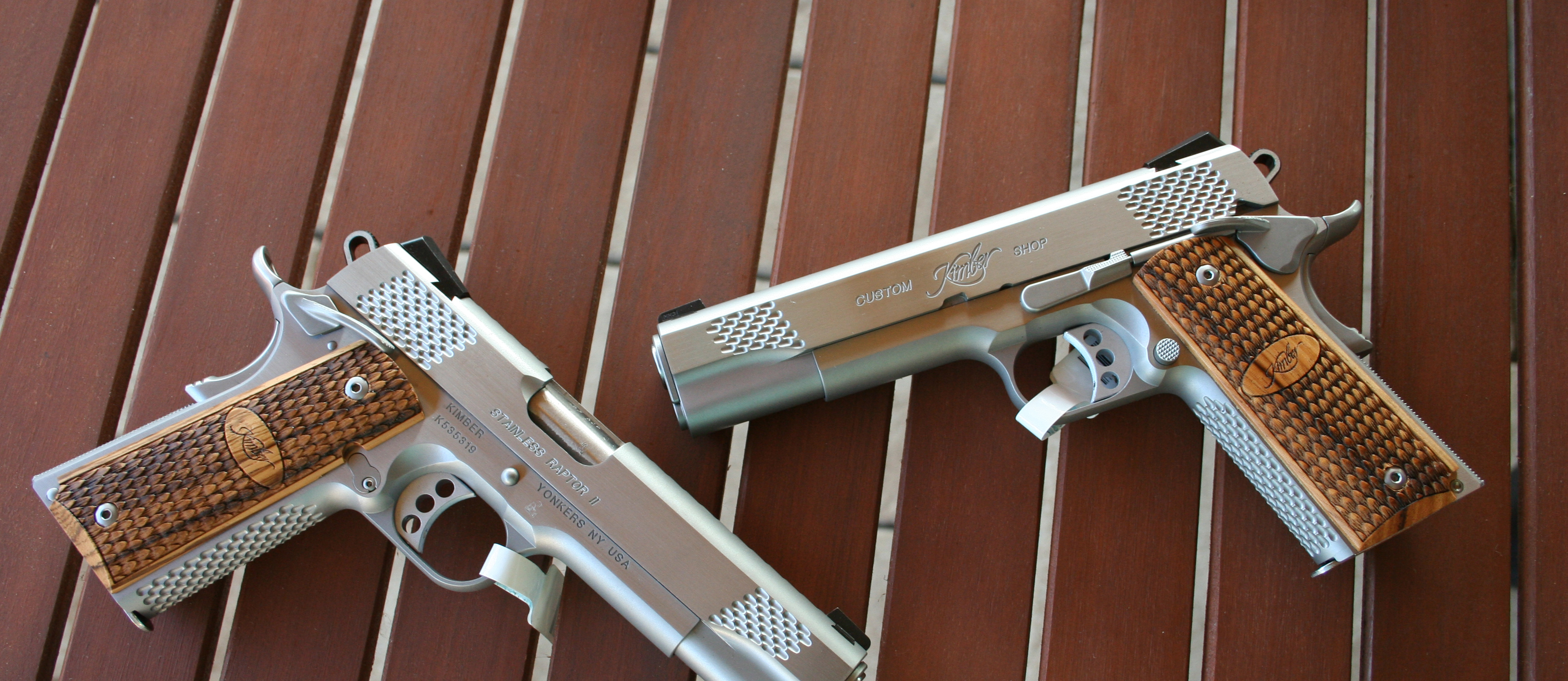 Kimber Raptor Stainless